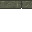 20559