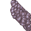 21509