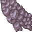 21510