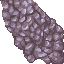 21518
