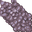 21520