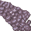 21536