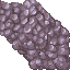 21541