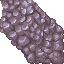 21544