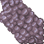 21547