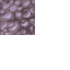 21560