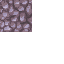 21561