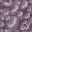 21562