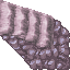 21566