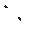 21844