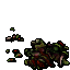 21998