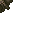 22376