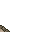 22402