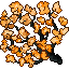24041