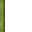 24095