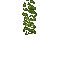 24170