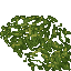 24182