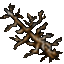 24538
