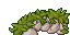 25353