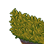 25416