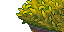 25423
