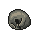 25455