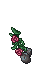 25499
