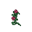25504