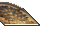 2627