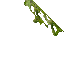 2732