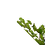 2733
