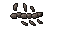 27484