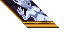 28255