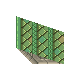 29204