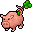 lucky pig
