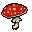 fly agaric