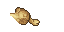 30681