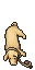 32023