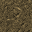 32369