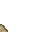 32404