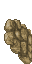 32451