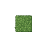 37020