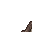 37116
