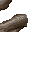 37151