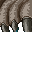37154