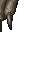 37155
