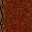 376