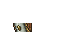 38419
