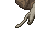 38554