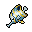 small tropical fish